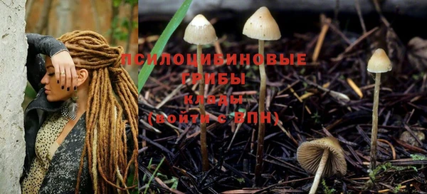 крисы Покровск