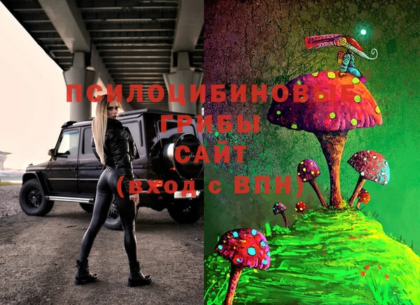 эйфоретик Приозерск